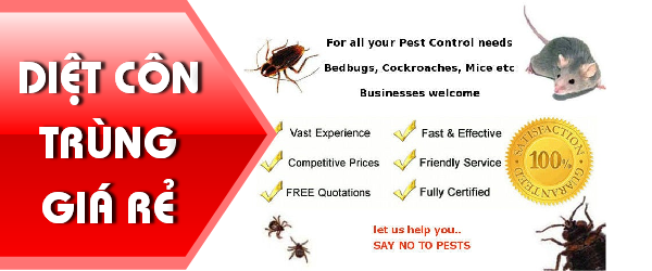 Dịch vụ diệt côn trùng giá rẻ hiệu quả cao