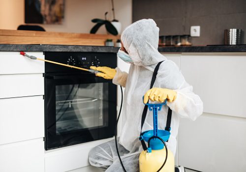 Professional exterminator in protective workwear spraying pesticide in apartment kitchen.